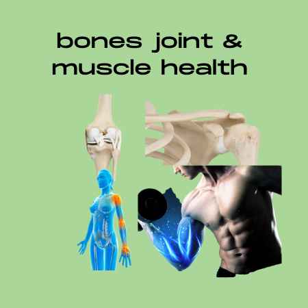 Bones, Joints & Muscle Health