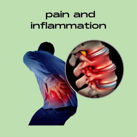 Pain & Inflammation