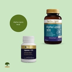 ALPHA LIPOIC ACID Health Boost